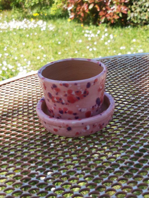pot à cactus et sa coupelle rose moucheté