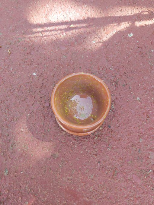 Pot à cactus brique moucheté