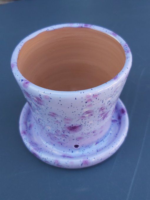 pot à cactus violet moucheté