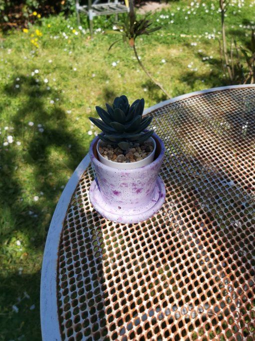 pot à cactus violet moucheté 