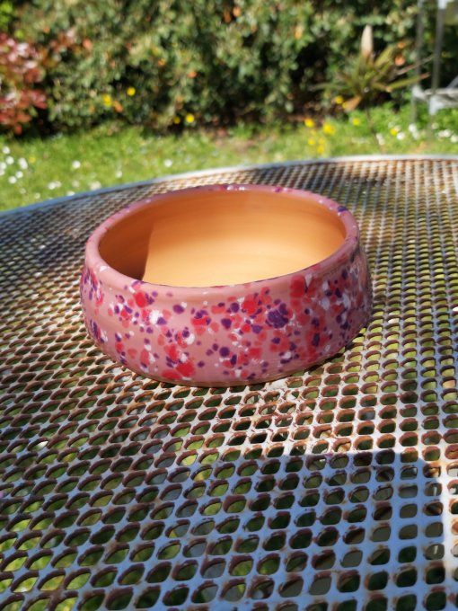 Vasque à cactus rose moucheté