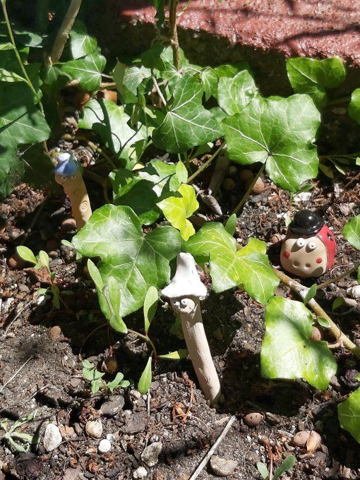 Vers de terre et coccinelle à planter
