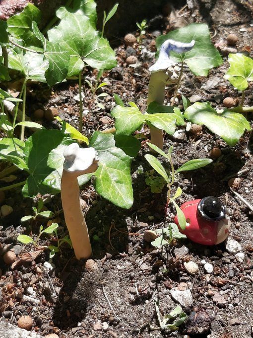 Vers de terre à planter